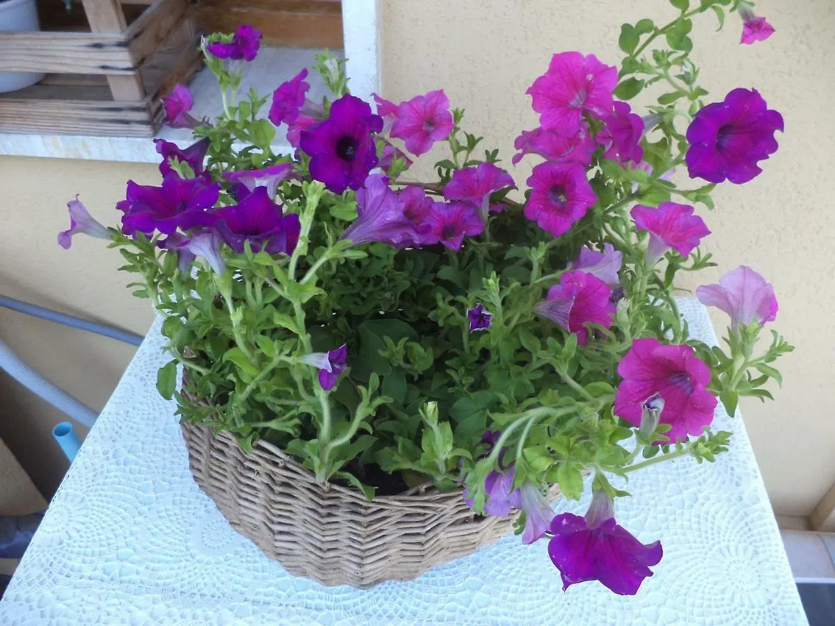 Apartment Montecatini-Terme Near Firenze, Lucca, Pisa Montecatini Terme